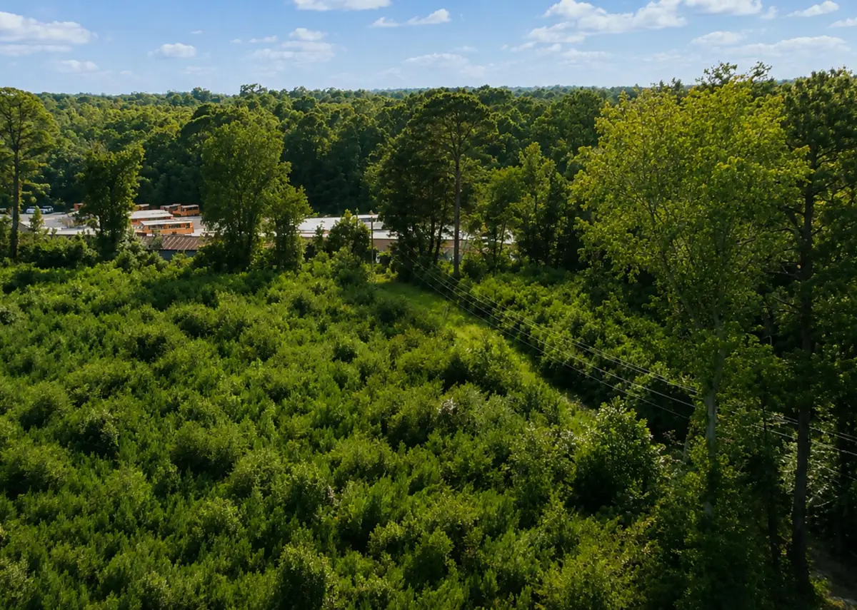 00 Whitesville Road, Moncks Corner, SC 29461 - #1