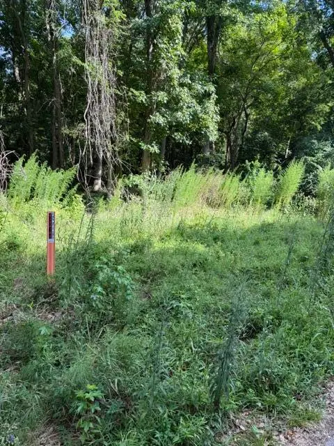 344 Dupre Road, McClellanville, SC 29458