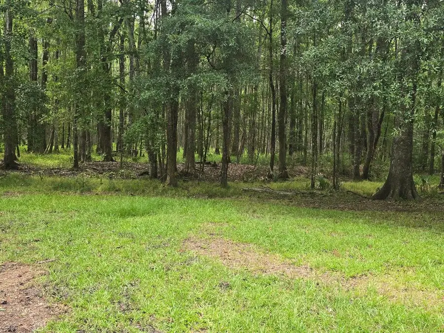 6210 Smoak Retreat Road, Adams Run, SC 29426 - #2
