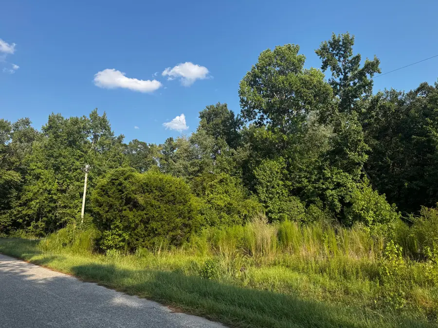 31 Gaines Circle, Cottageville, SC 29435 - #2