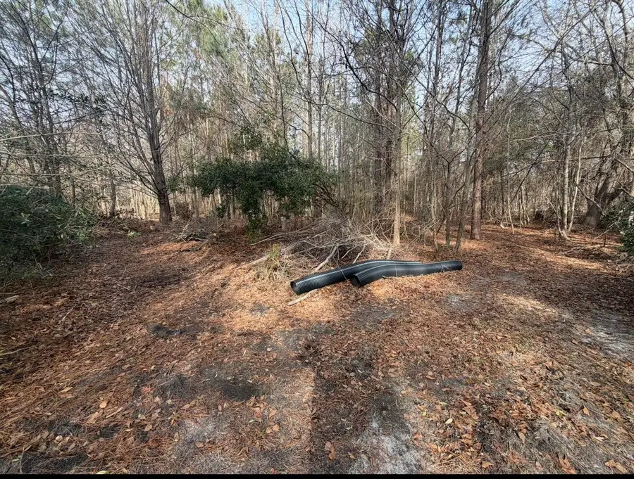 1547b Pine Valley Drive, Elgin, SC 29045 - #3