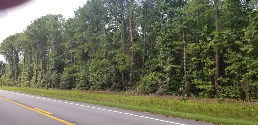 0 Augusta Highway, Smoaks, SC 29481 - #3