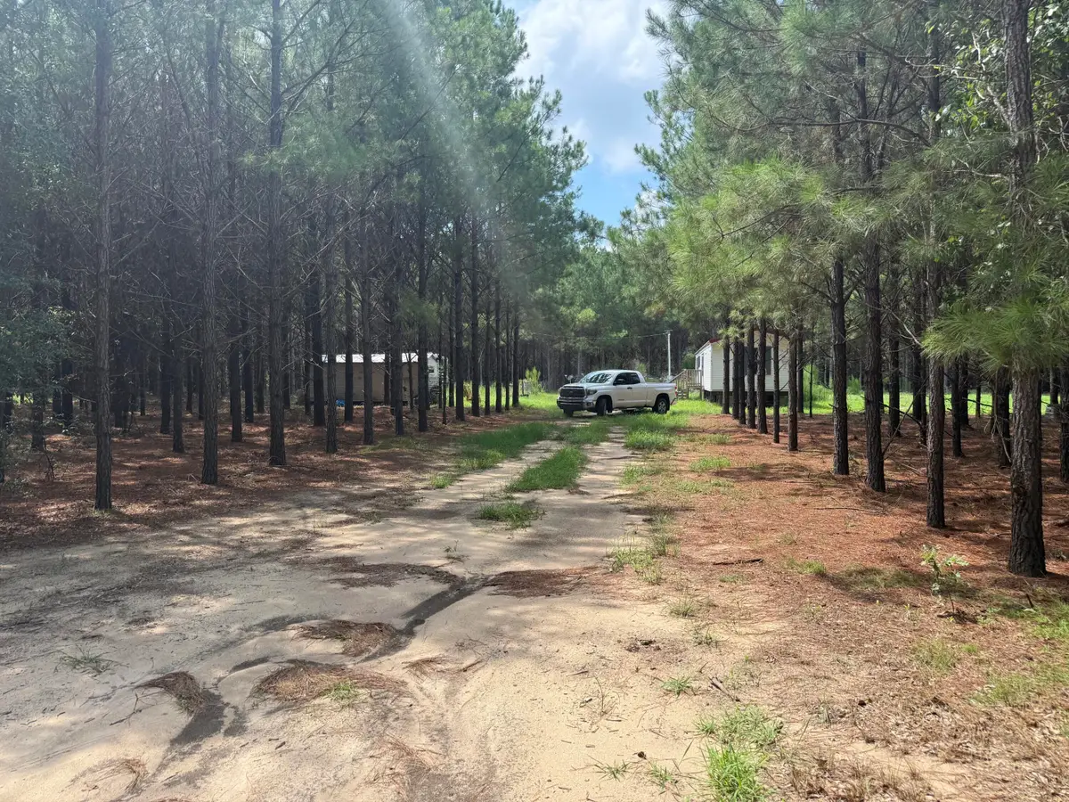 187 Tiny Lane, Smoaks, SC 29481 - #1