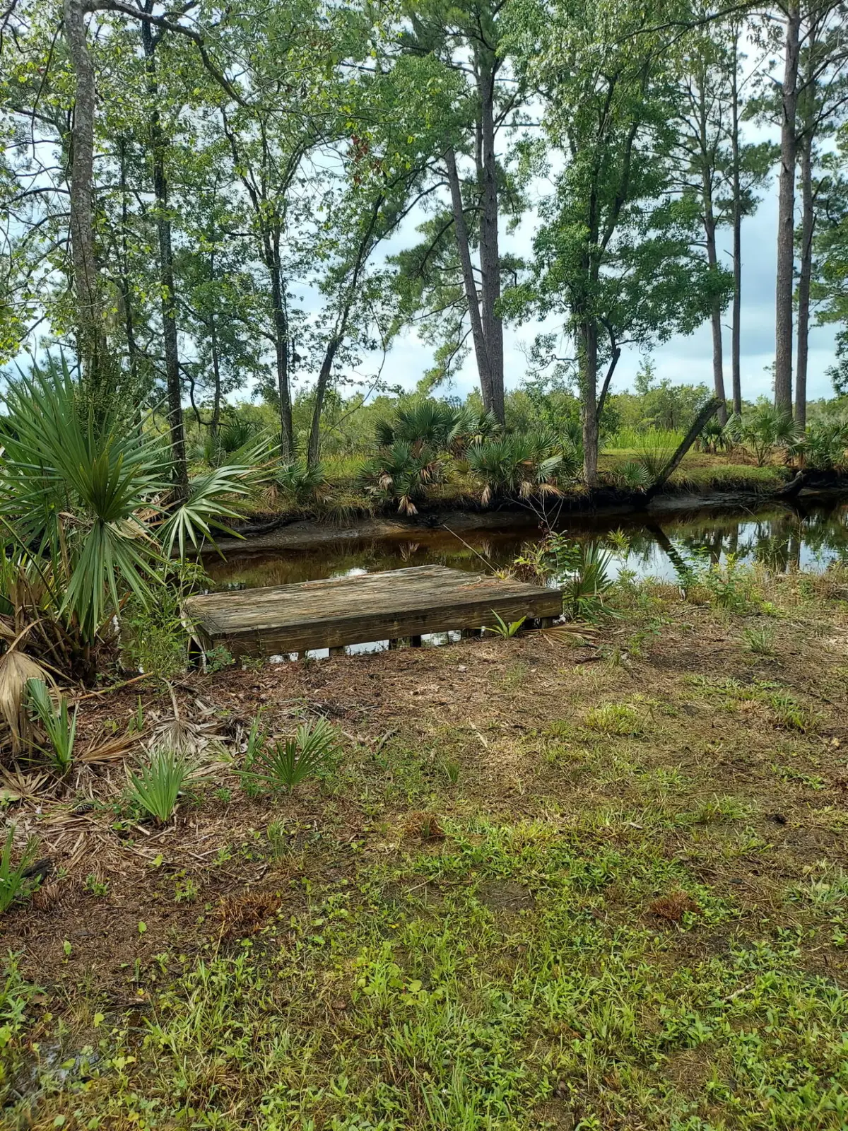 4083 Prices Bridge Lane, Walterboro, SC 29488 - #1