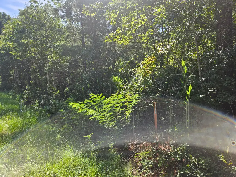 0 Porcher School Road, Awendaw, SC 29429 - #2