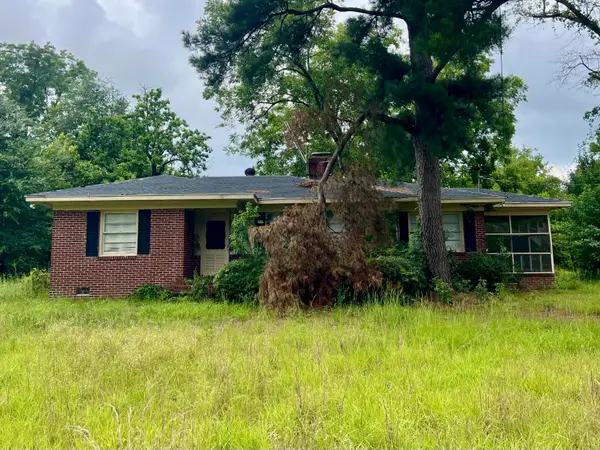 249 E Richards Street, Denmark, SC 29042