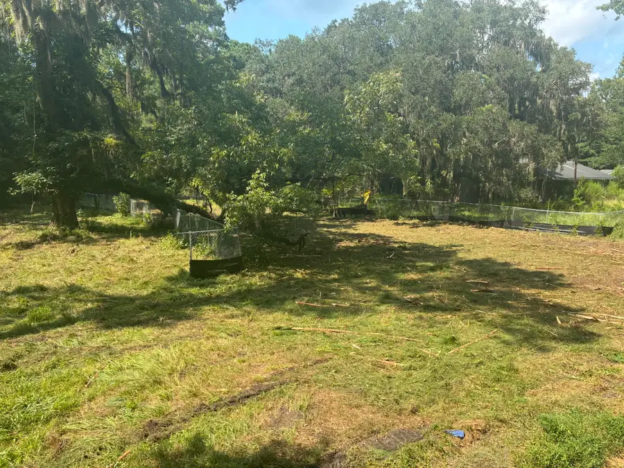 336 Drayton Street, McClellanville, SC 29458 - #2
