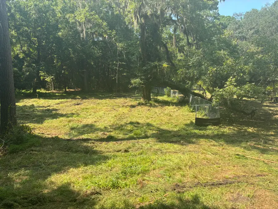 336 Drayton Street, McClellanville, SC 29458 - #3