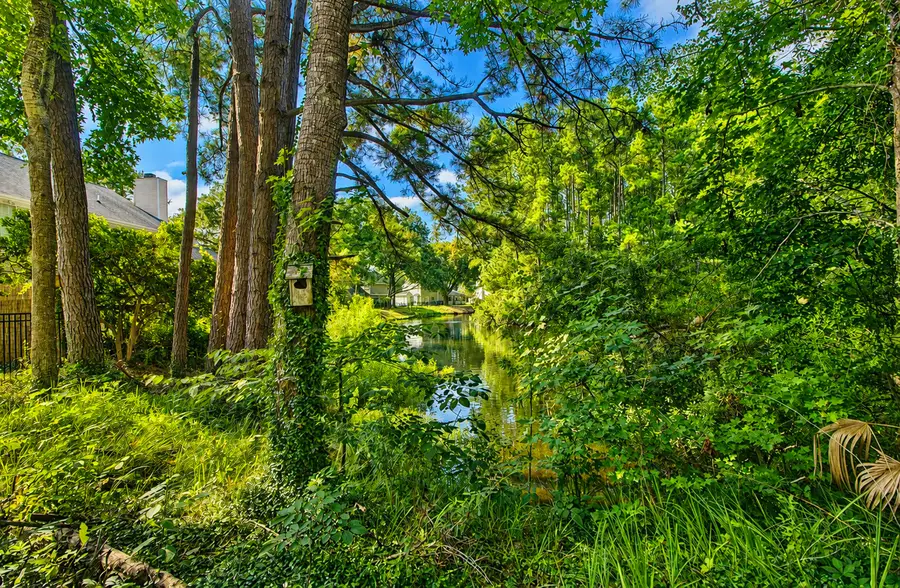 1281 Horseshoe Bend, Mount Pleasant, SC 29464 - #2