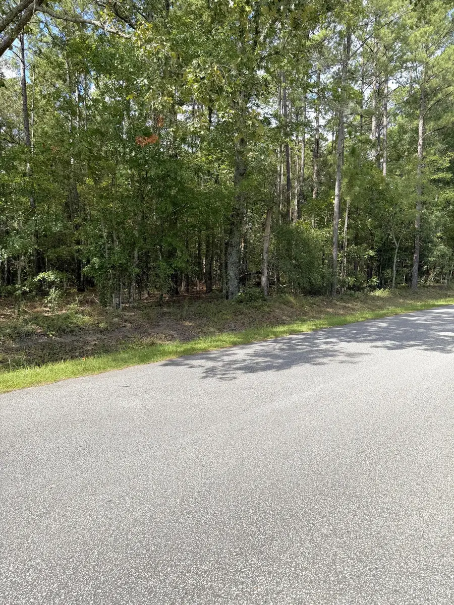 76 Honey Drive, Walterboro, SC 29488 - #3