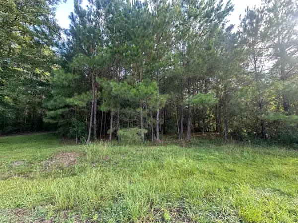 108 Blanchard Lane, Jamestown, SC 29453