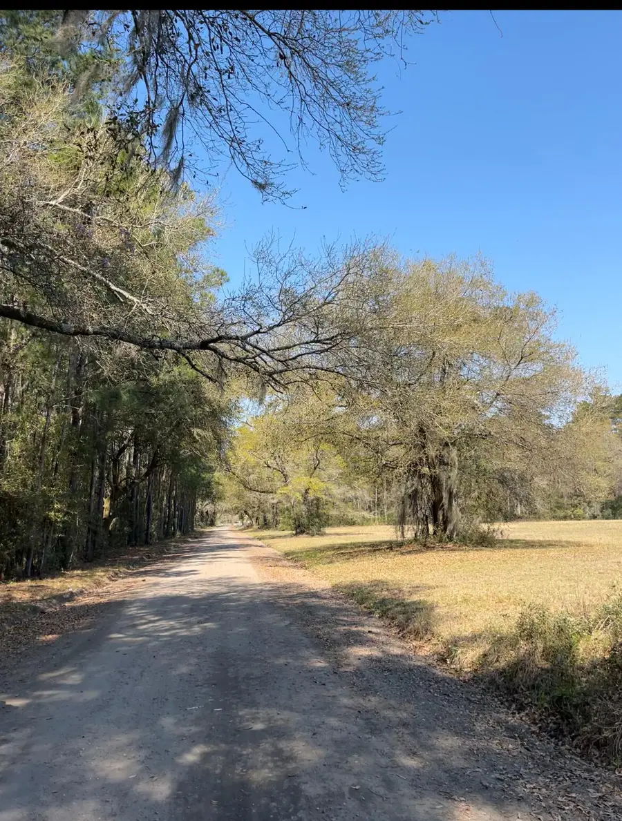 5331 Old Military Road #Lot 3, Adams Run, SC 29426 - #3