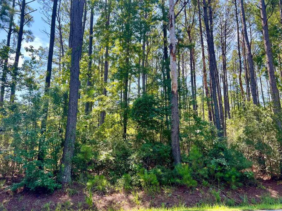 387 Founders Oak Way, Yemassee, SC 29945 - #2