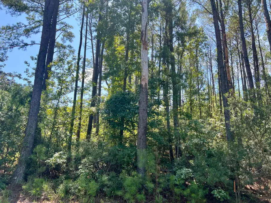 387 Founders Oak Way, Yemassee, SC 29945 - #3