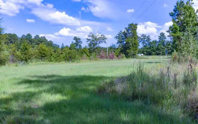 0 Mulberry Road, Saint George, SC 29477 - #2