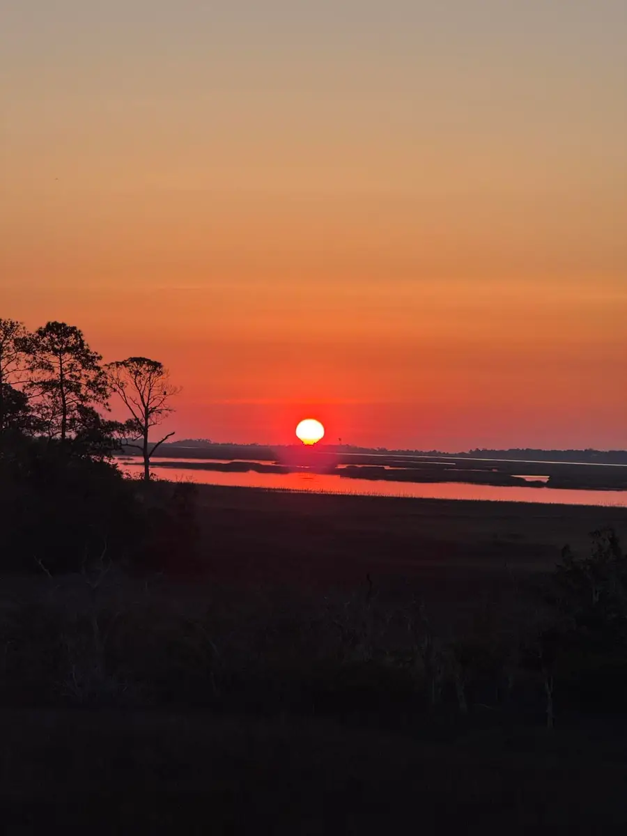 2068 Amenity Park Drive, Mount Pleasant, SC 29466 - #3