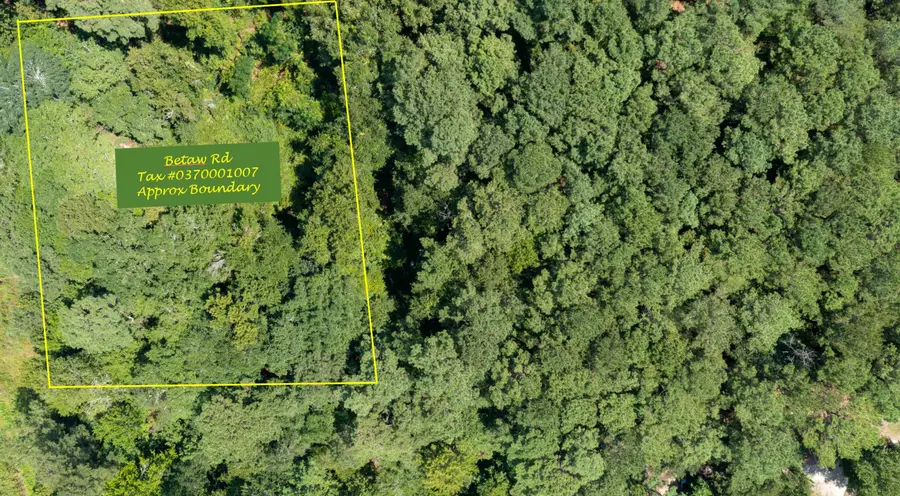 00 Betaw Road, Saint Stephen, SC 29479 - #3