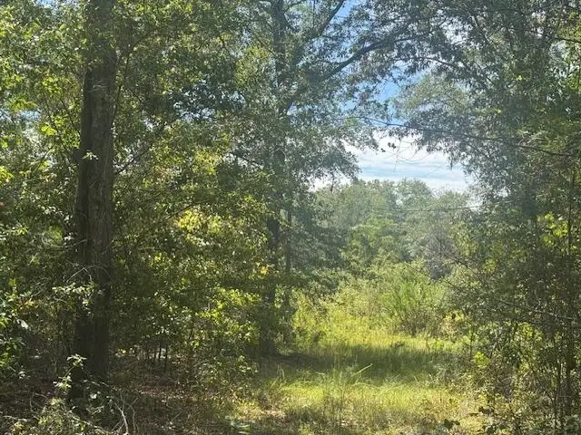 1651, 1571 Creek Mill Road, North, SC 29112 - #1
