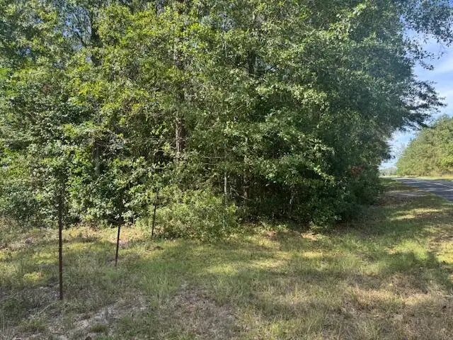 1651, 1571 Creek Mill Road, North, SC 29112 - #3