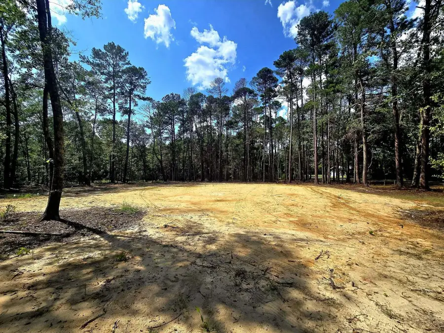 0 White Sands Road, Walterboro, SC 29488 - #2