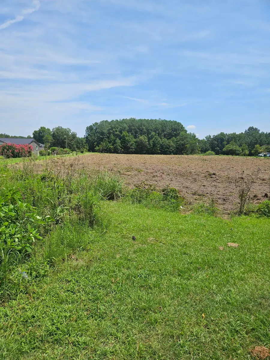 0 Wolfman Lane, Saint Stephen, SC 29479 - #3