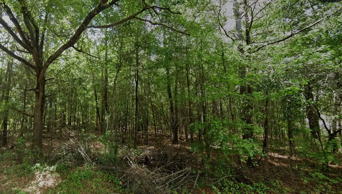 Tbd Long Branch Road, Greeleyville, SC 29056 - #1
