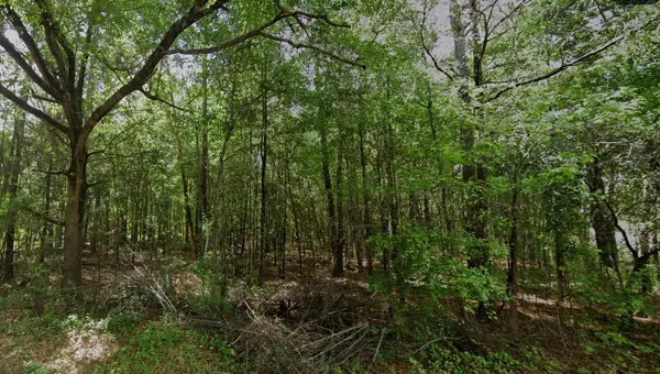 Tbd Long Branch Road, Greeleyville, SC 29056