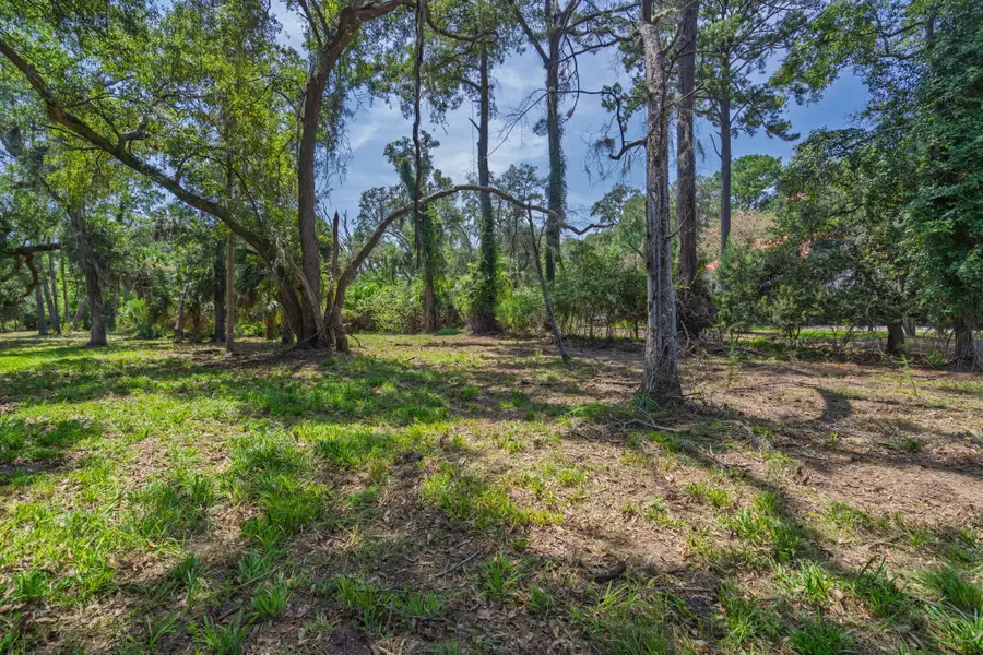 0 Palmetto Road, Edisto Island, SC 29438 - #3