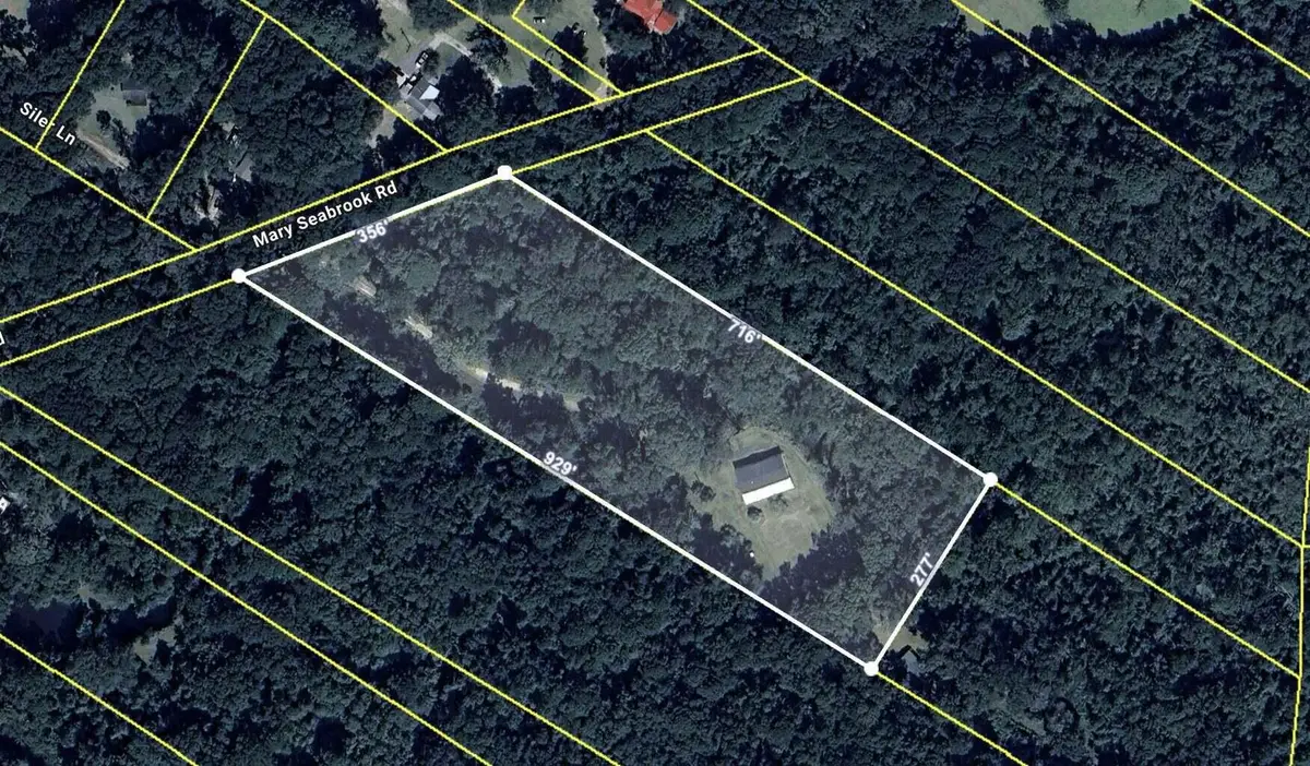 7855 Mary Seabrook Road, Edisto Island, SC 29438 - #1