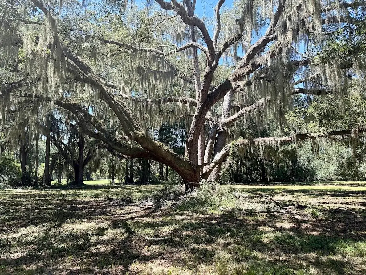 7817 Little Britton Road (lot A-3), Meggett, SC 29449 - #1