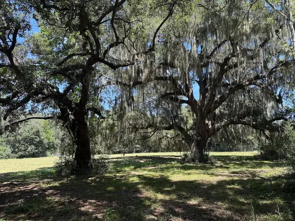 7817 Little Britton Road(lot C-1-a), Meggett, SC 29449