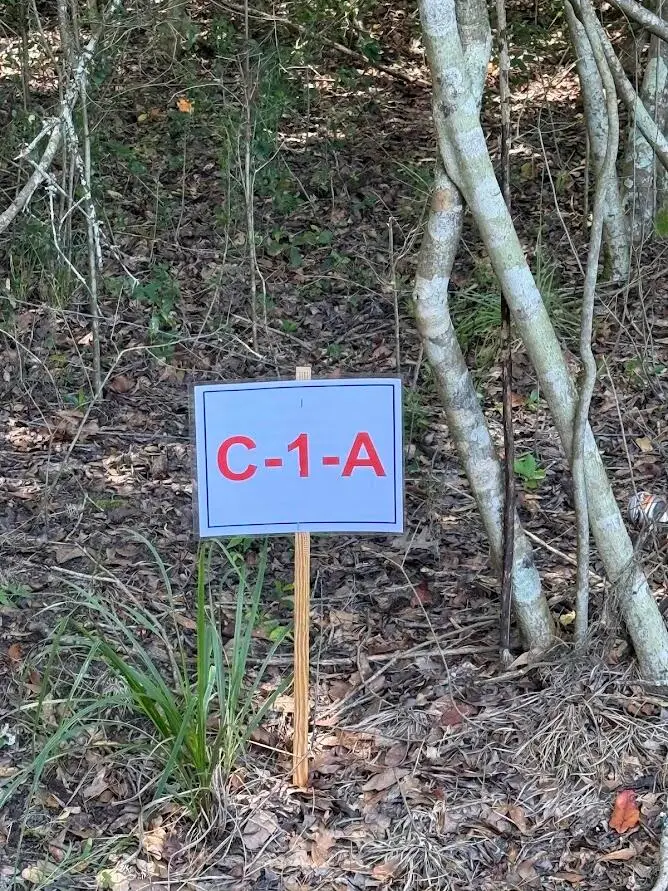 7817 Little Britton Road(lot C-1-a), Meggett, SC 29449 - #2