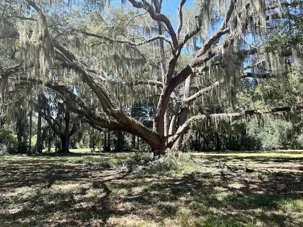 7817 Little Britton Road(lot C-1-b), Meggett, SC 29449