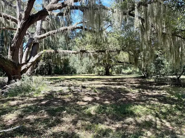 7817 Little Britton Road (c-1-c), Meggett, SC 29449