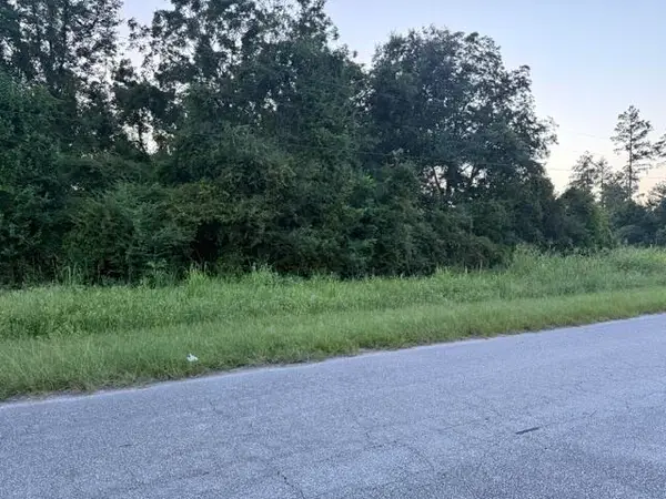 0 Angelica Street, Santee, SC 29142