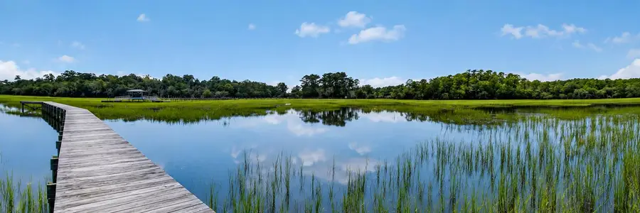 5751 Church Flats Road, Meggett, SC 29449 - #3