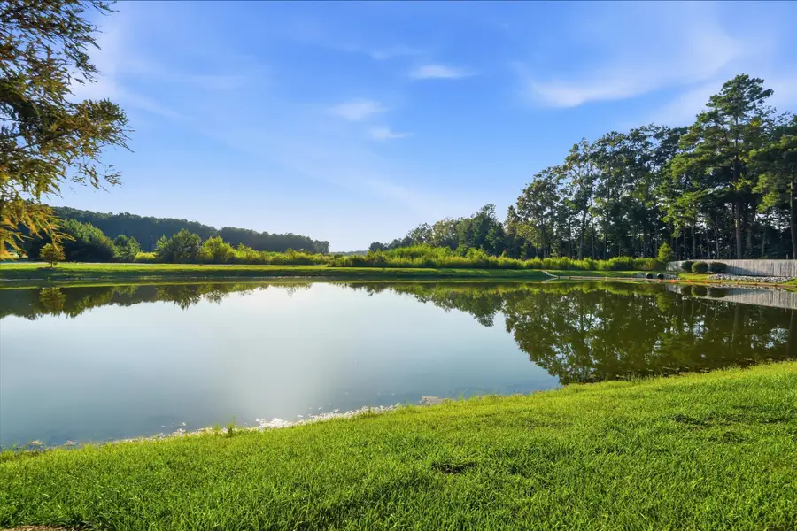 104 Trumpet Vine Drive, Summerville, SC 29486 - #3
