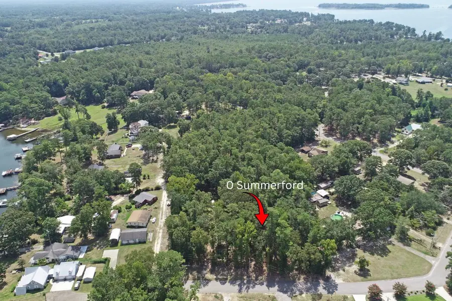 0 Summerford, Manning, SC 29102 - #2