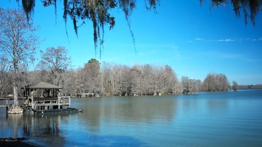 1093 Mulligan Drive, Manning, SC 29102 - #2