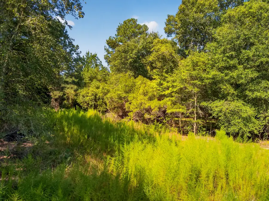 1218 Misty Ridge Lane, Walterboro, SC 29488 - #3