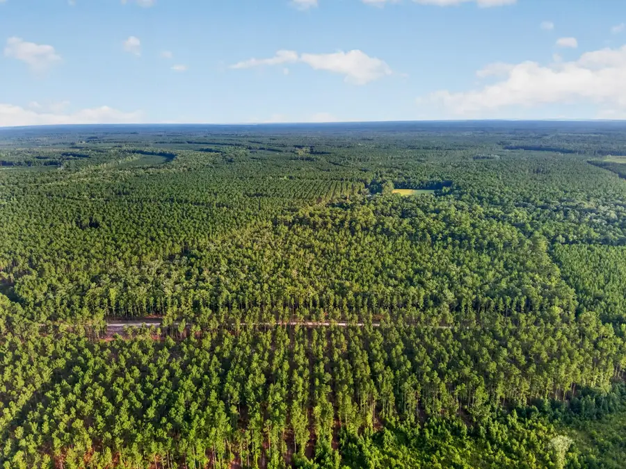 0 Greenwood Road, Adams Run, SC 29426 - #2