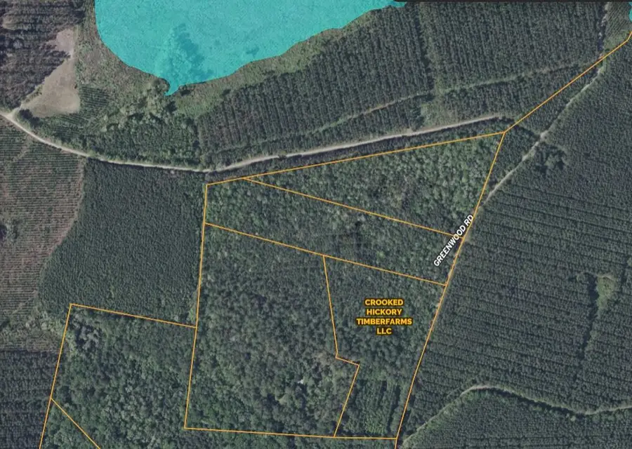 0 Greenwood Road, Adams Run, SC 29426 - #3