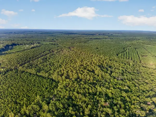 0 Greenwood Road, Adams Run, SC 29426