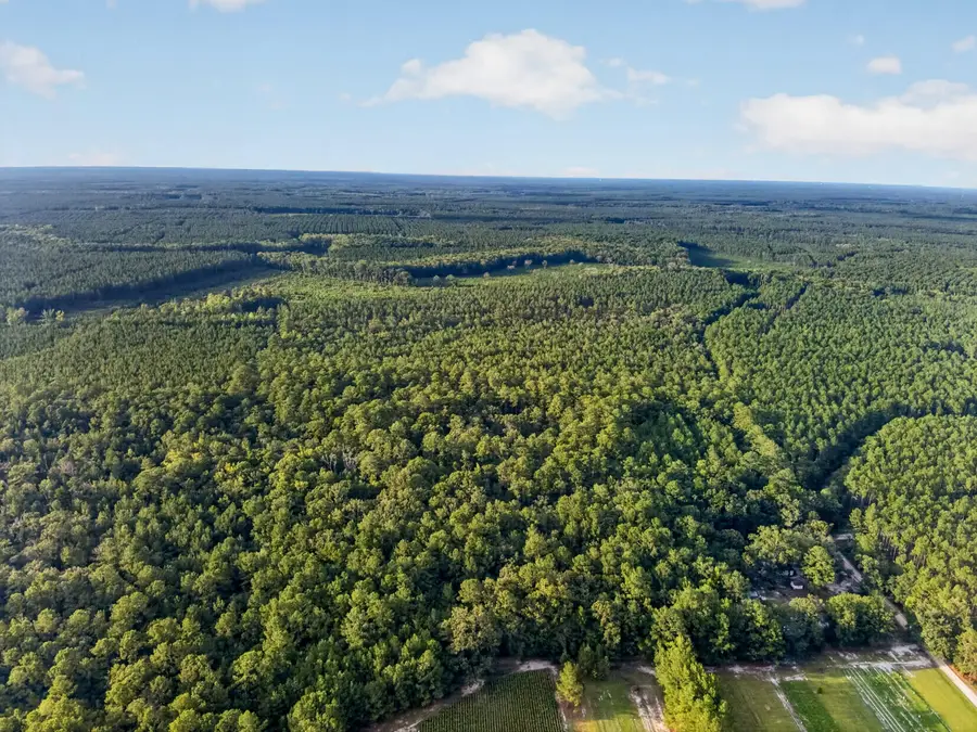 0 Greenwood Road, Adams Run, SC 29426 - #2