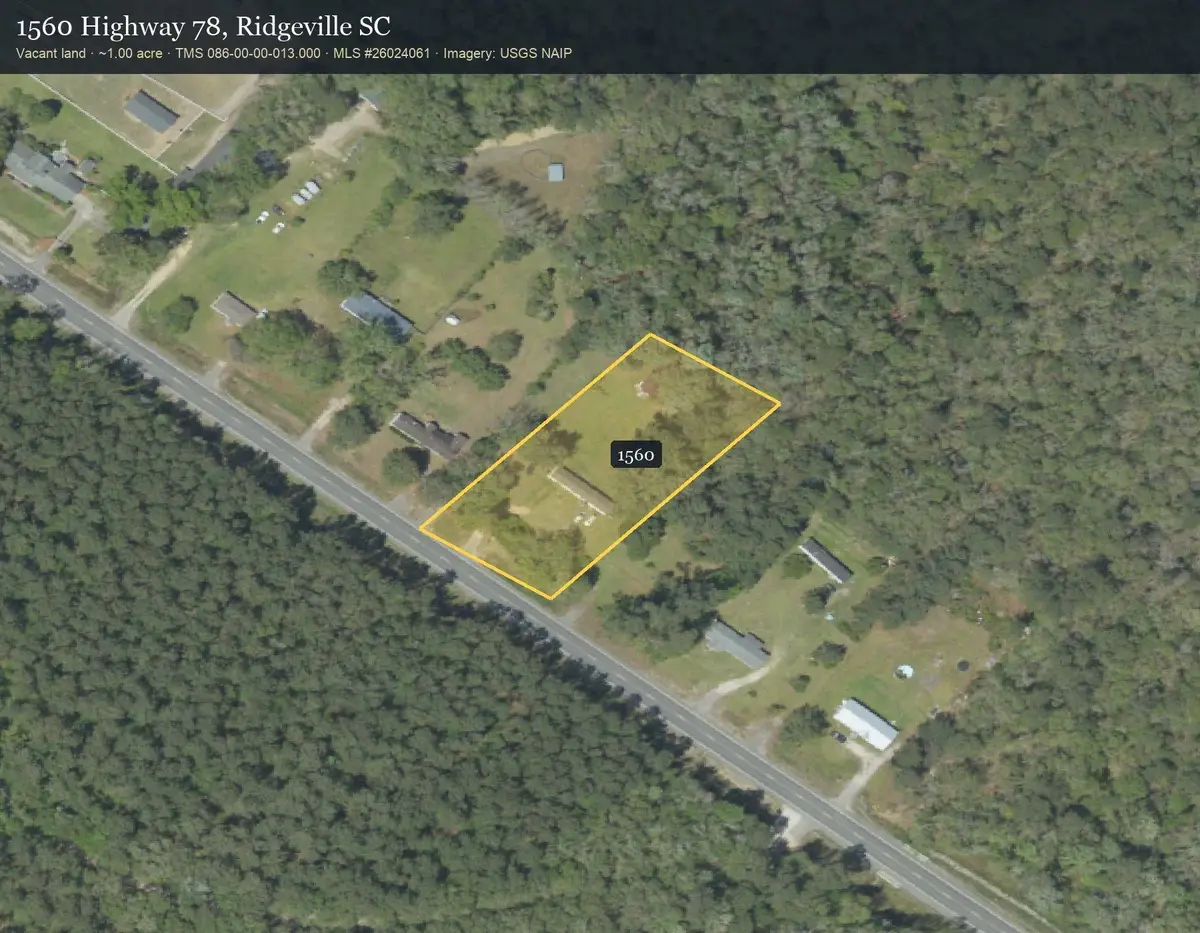 1560 Highway 78, Ridgeville, SC 29472 - #1