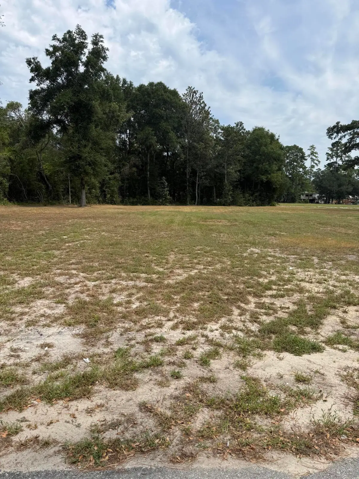 621 Chaplin Street, Walterboro, SC 29488 - #1