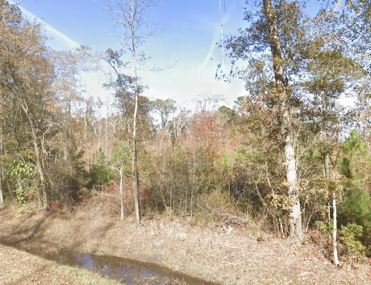 00 Wade Hampton, Hampton, SC 29924 - #1