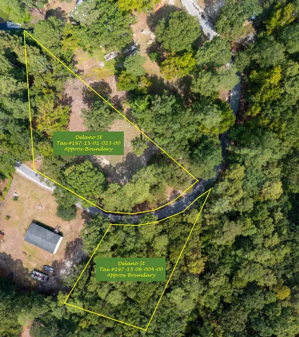 0 Delano Street, Manning, SC 29102