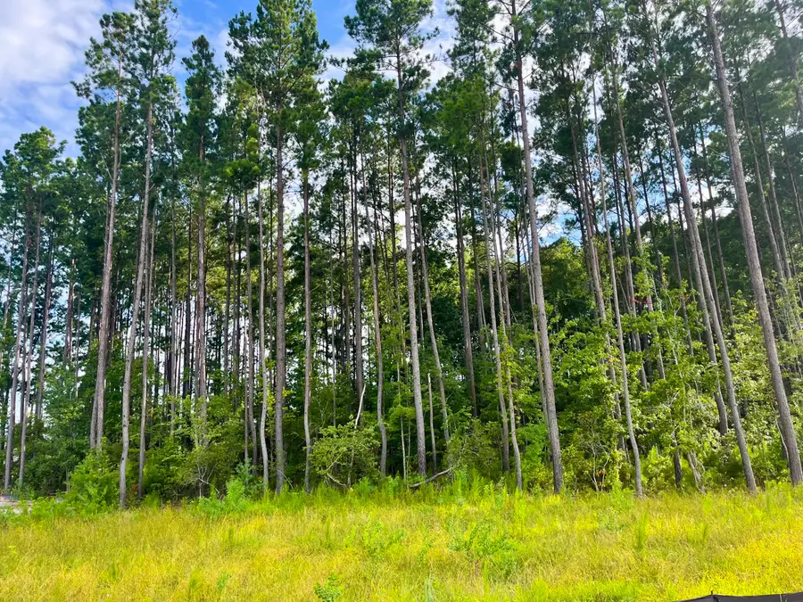 318 Brightside Trail, Summerville, SC 29486 - #2