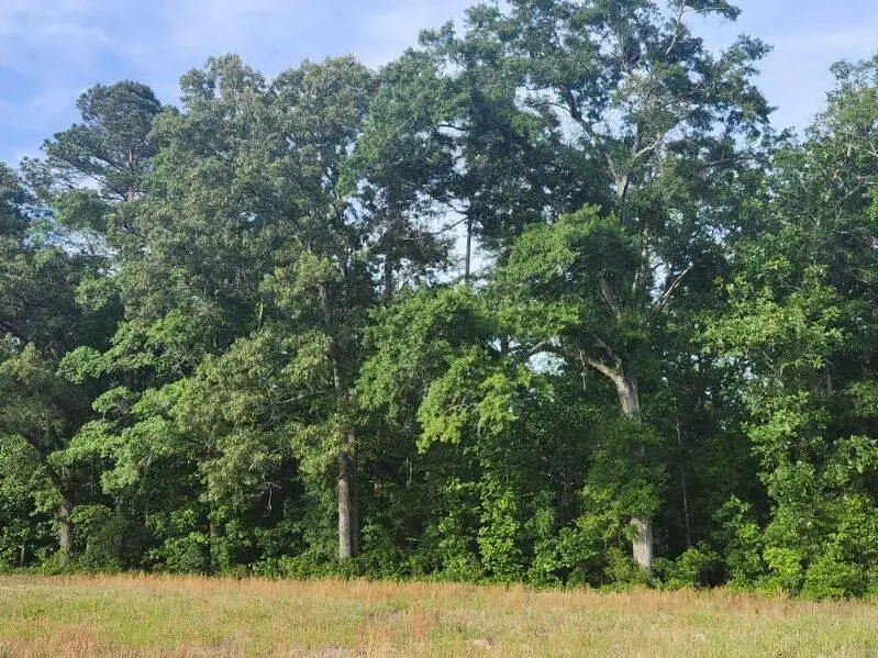 0 Broxton Bridge Road, Bamberg, SC 29003 - #2